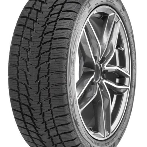 466-radar-dimax-ice.jpg 205/60R16 96T XL Radar DIMAX Ice CEA69dB