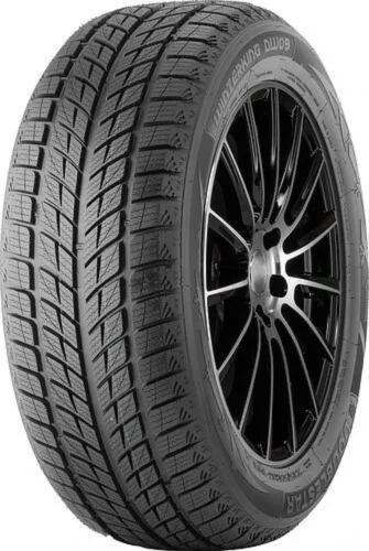 255/55R20 107H Doublestar DW09
