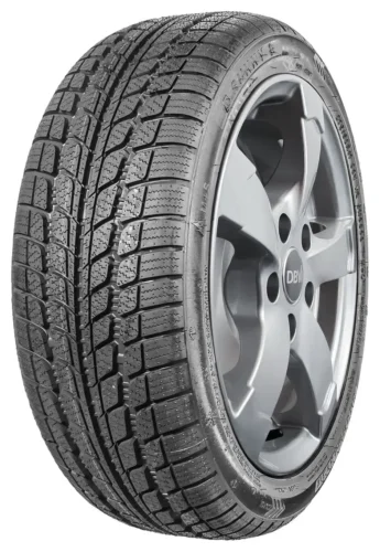 195/65R16C 104/102T Sunny NW103