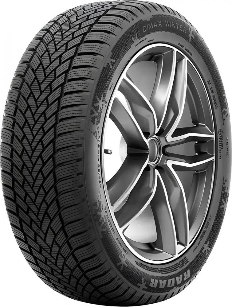 235/55R19 105W Radar DIMAX WINTER EVc