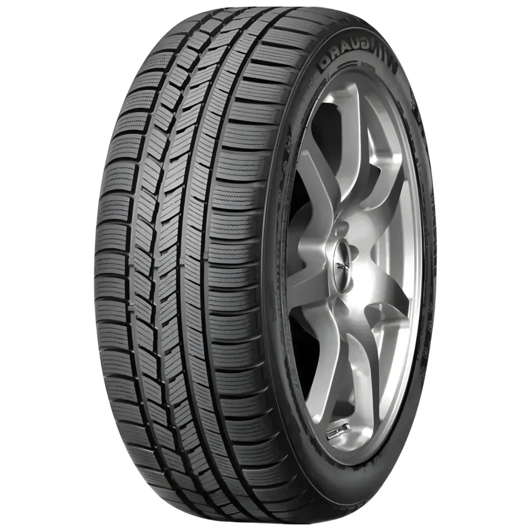 195/65R15 91T Roadstone WINGUARD SNOW G